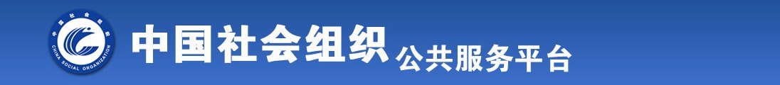 肏茓小说全国社会组织信息查询